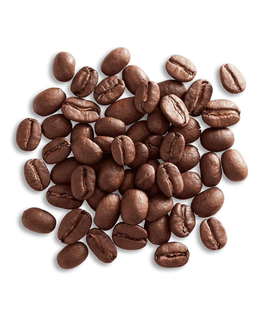 Organic Alameda Morning Blend