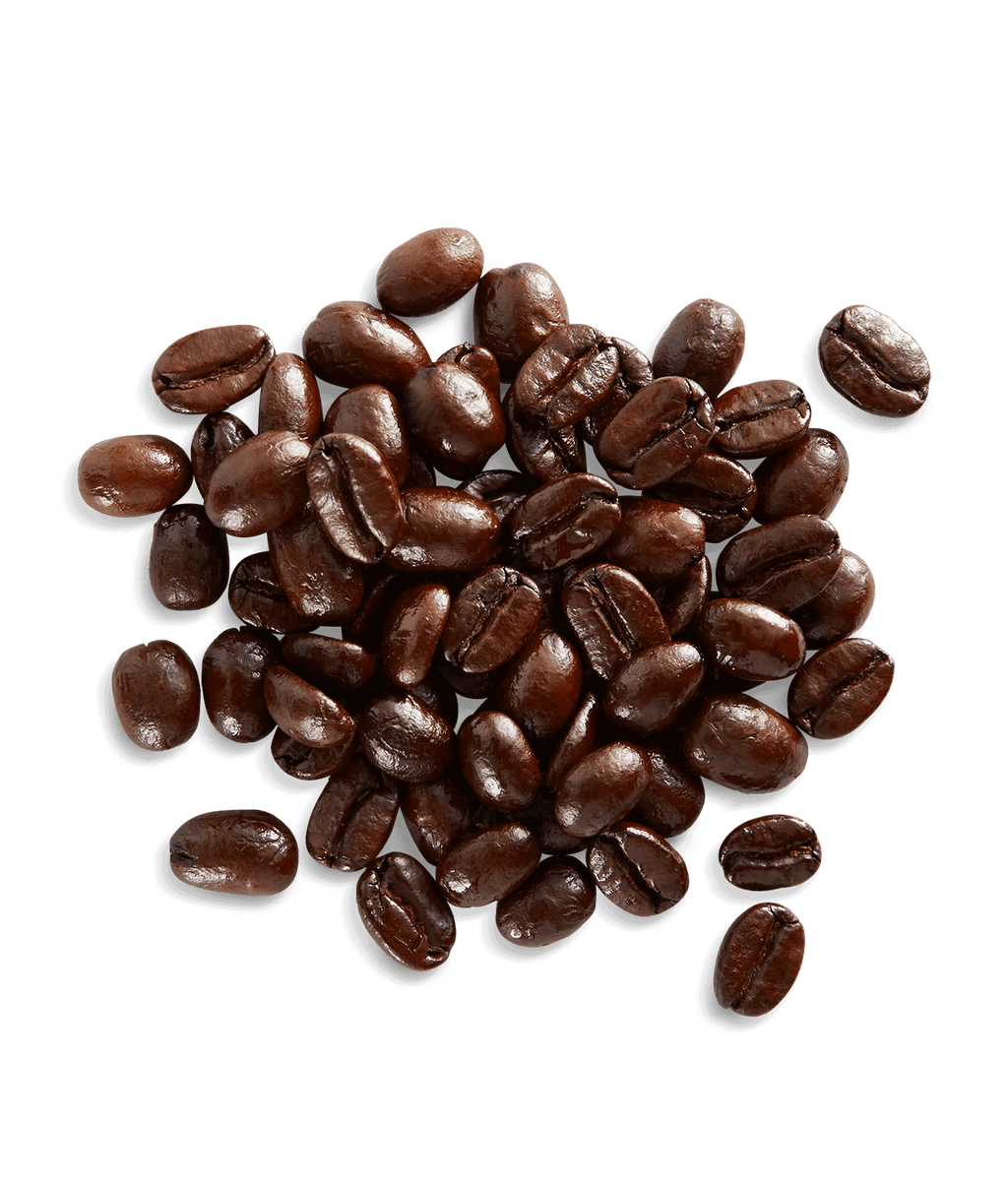 Organic French Roast