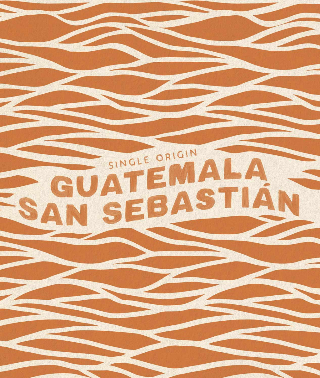 Guatemala San Sebasti¨¢n
