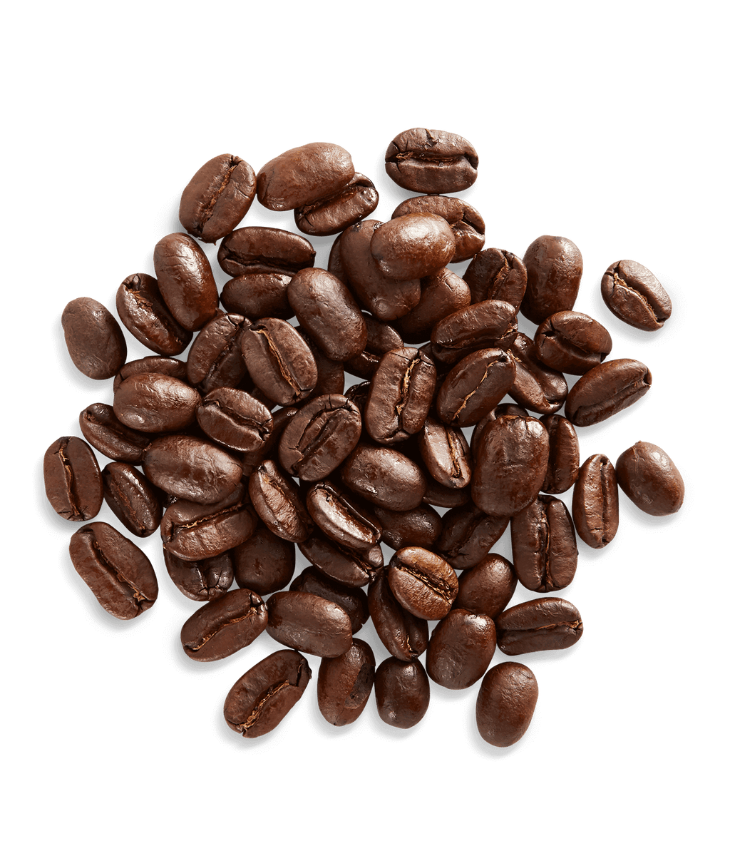 New Guinea Highlands