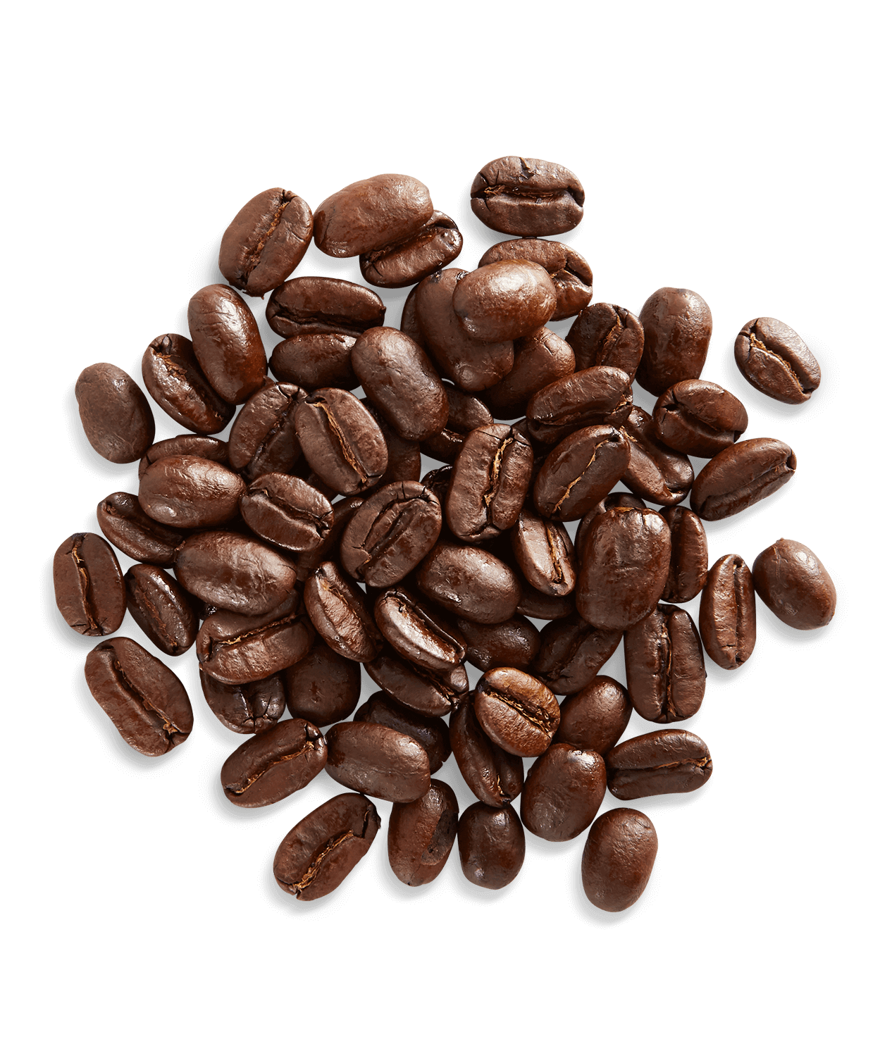 New Guinea Highlands