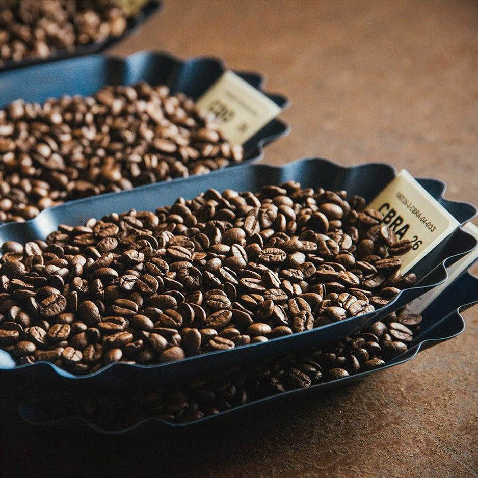 Signature Blend Series