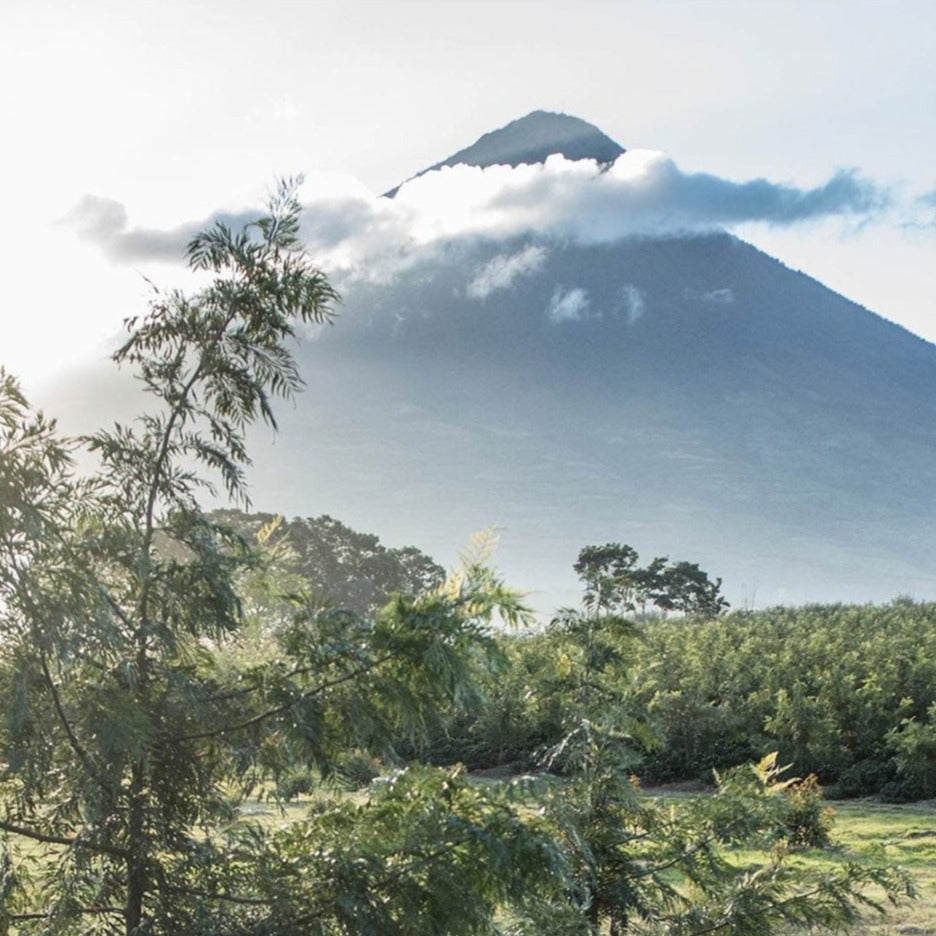 Single Origin Series